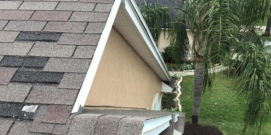 Spring Roof Inspector